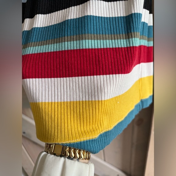Express Multicolor Striped Midi Skirt - Picture 5 of 5